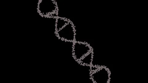 DNA molecule from particles Animation seamless loop. White appearance, tran.. Stock Footage 309845592
