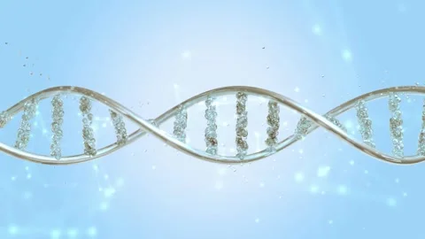 DNA molecule from particles. can be used in education. Video stock 302950138