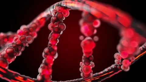 DNA molecule from particles Translucent black and red. Stock Footage 256219015