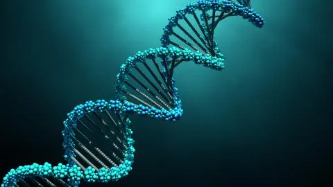 DNA molecule Stock Photos