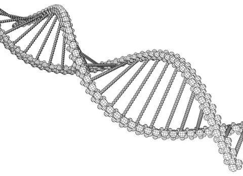 DNA molecule picture Stock Illustration
