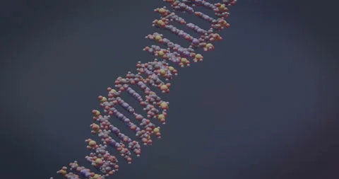 The DNA molecule rotates in space. Stock Footage 116380804