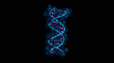 DNA molecule, rotating model with semi-transparent surface Stock Footage 47109373