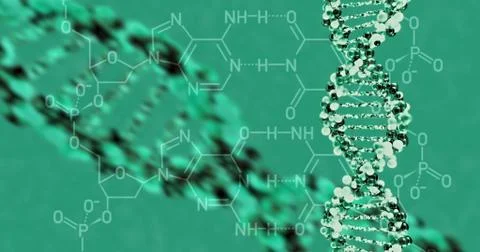 DNA molecule structure. 3D render Stock Illustration