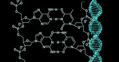 DNA molecule structure. 3D render 스톡 일러스트