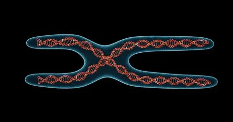 DNA molecule structure. 3D render Stock Illustration