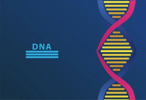 Dna molecule structure and lettering in blue background Stock Illustration
