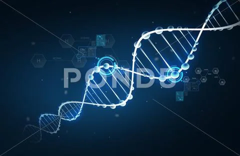 Dna molecule structure with hydrogen formula Stock Photos