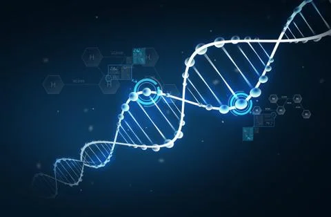 Dna molecule structure with hydrogen formula Stock Photos