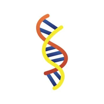 Dna molecule structure isolated icon 스톡 일러스트