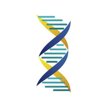 Dna molecule structure isolated icon Stock Illustration