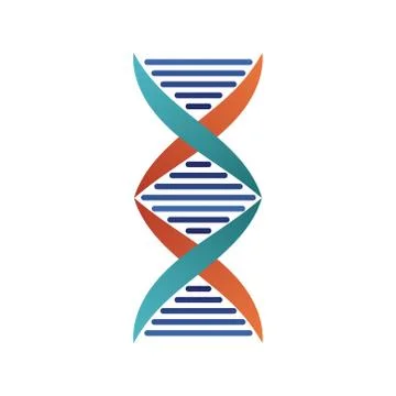 Dna molecule structure isolated icon Stock Illustration