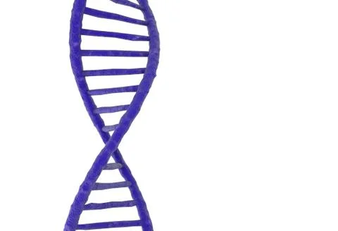 DNA molecule structure isolated in white. 3d illustration 스톡 일러스트