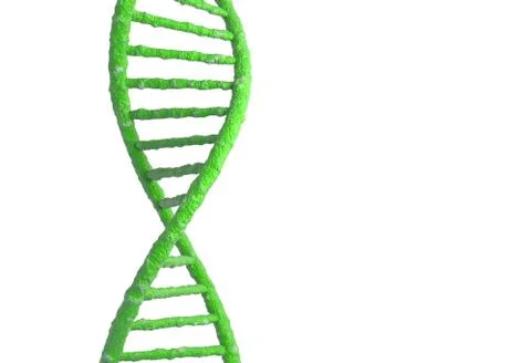 DNA molecule structure isolated in white. 3d illustration Stock Illustration