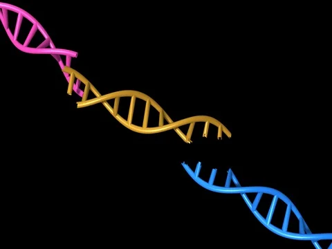 DNA molecule structure repair, editing and manipulation Stock-Footage 77981568