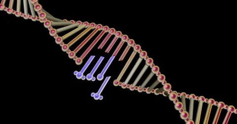 DNA molecule structure repair, editing and manipulation Illustrazione stock