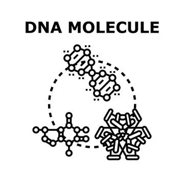 Dna molecule structure representing genetic science research Stock Illustration
