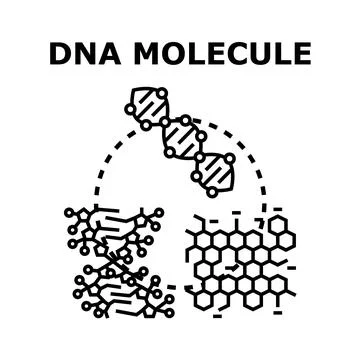 Dna molecule structure studying and research concept Stock Illustration