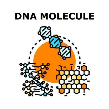 Dna molecule structure studying and research concept Stock Illustration