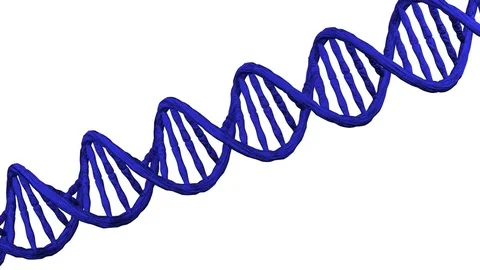 DNA molecule turn around. 3D rendering. 스톡 동영상 72897244