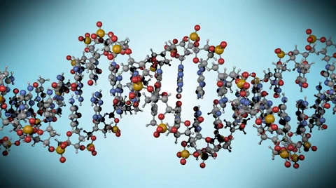 DNA molecule, vertical rotation, scientific variant Vidéo 61107683