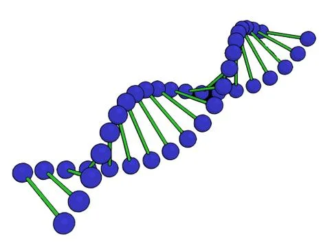 DNA molecule on white background Vector image Ilustración de archivo