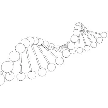 DNA molecule on white background Vector image Ilustración de archivo