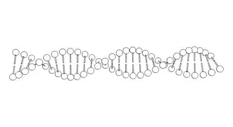 DNA molecule on white background Vector image Ilustración de archivo