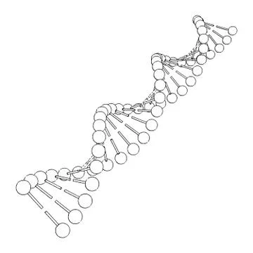 DNA molecule on white background Vector image Ilustración de archivo