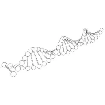 DNA molecule on white background Vector image Ilustración de archivo