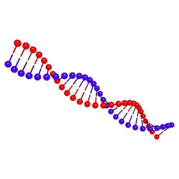 DNA molecule on white background Vector image 스톡 일러스트