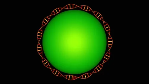 DNA molecule wraps around sphere . 3d animation render concept Stock Footage 155297316