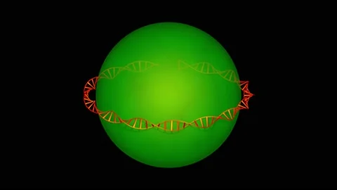 DNA molecule wraps around sphere . 3d animation render Stock Footage 155448862