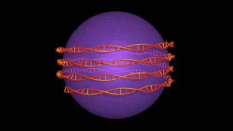 DNA molecule wraps around sphere . 3d animation render Stock Footage 155448865