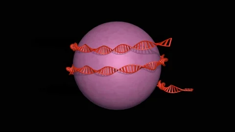 DNA molecule wraps around sphere . 3d animation render Stock Footage 155448866