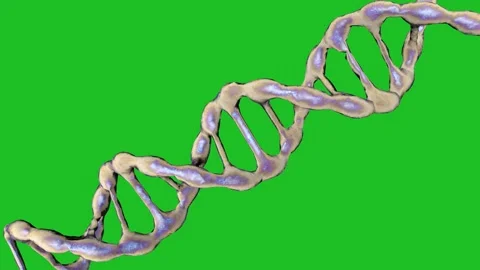 DNA molecules animation on a green screen. Stock Footage 310242140