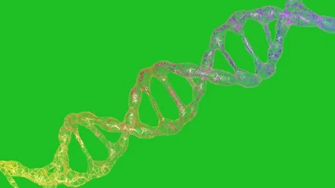 DNA molecules animation on a green screen. Stock Footage 320355290