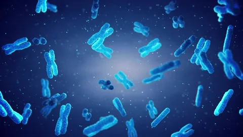 DNA molecules are organised in structures called chromosomes. Stock Footage 149678042