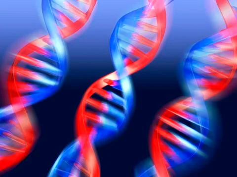 Dna molecules, artwork Stock Illustration