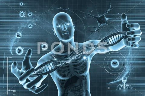 Dna molecules, cell and men Stock Illustration