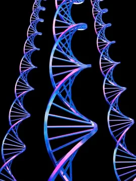 Dna molecules, computer artwork Stock Illustration