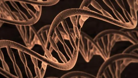 DNA Molecules Stock Illustration