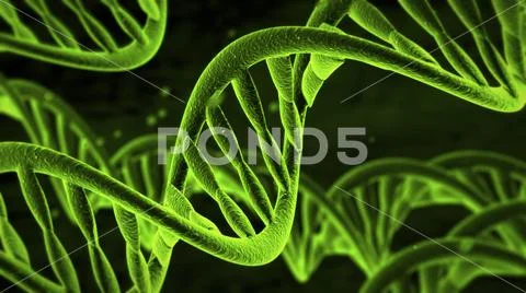 DNA Molecules Stock Illustration
