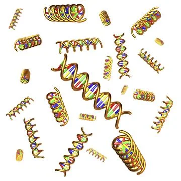 DNA molecules isolated on white background Stock Illustration