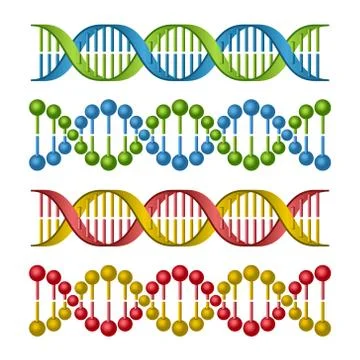DNA Molecules Set for Science and Medicine Design. Vector イラスト素材