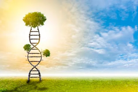 DNA is a natural tree background style. Stock Illustration