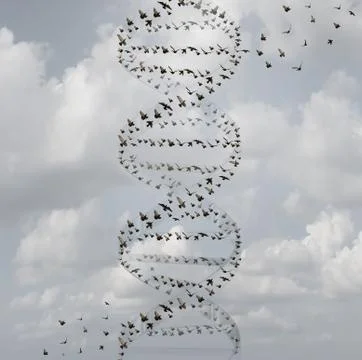 DNA In Nature Stock Illustration
