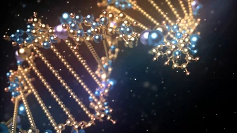DNA Opener Stock After Effects