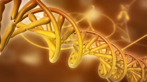 DNA or deoxyribonucleic acid Stock-Illustration