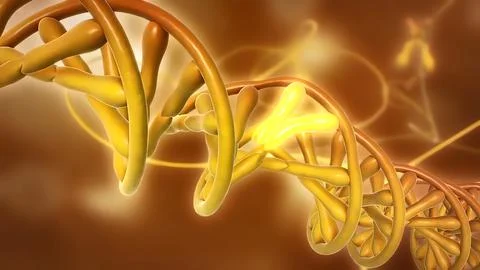 DNA or deoxyribonucleic acid Stock-Illustration